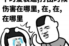 盐池贷款清欠服务